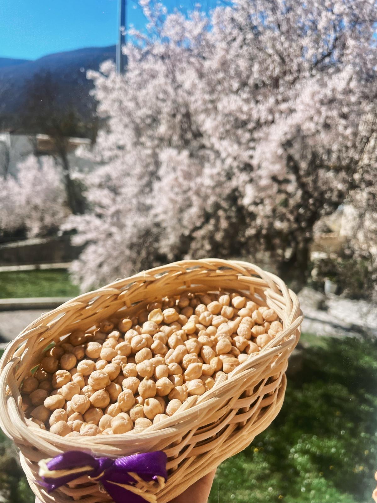 Sagra dei Ceci e dello Zafferano