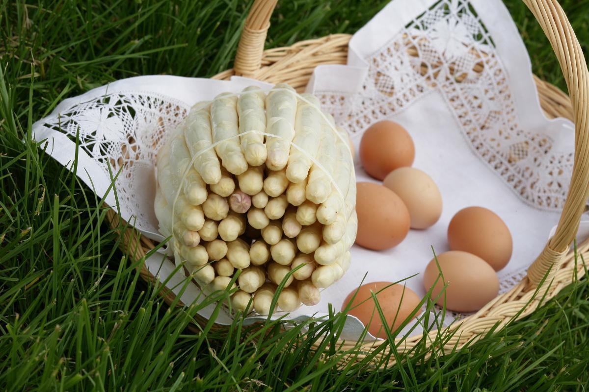 Festa degli Asparagi