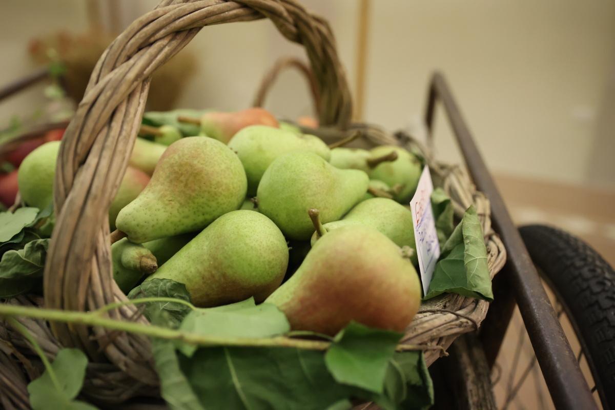 Fiera delle Pere Fiera delle Pere