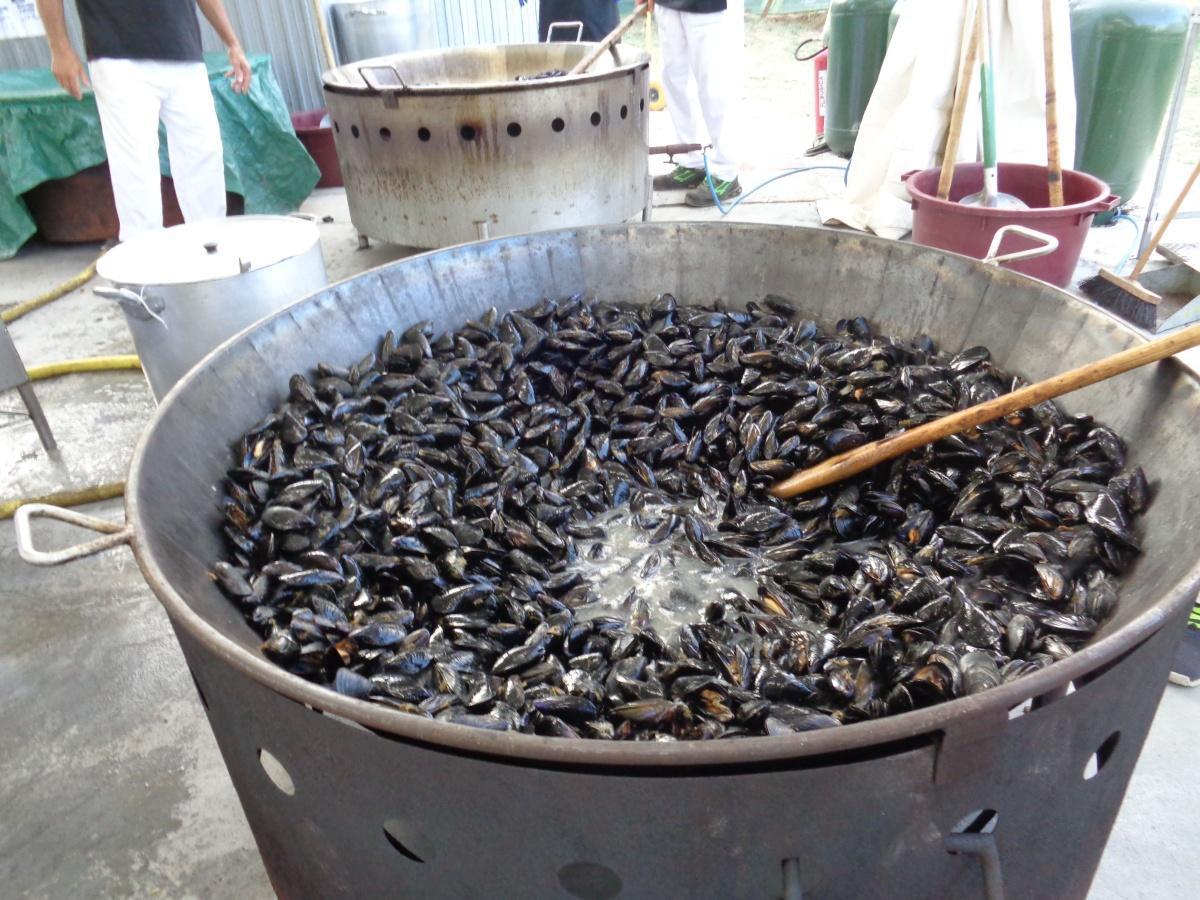 Sagra delle Cozze