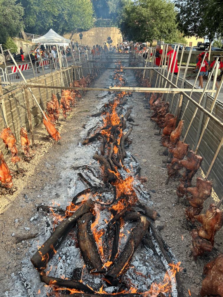 Sagra del Maialetto Sagra del Maialetto