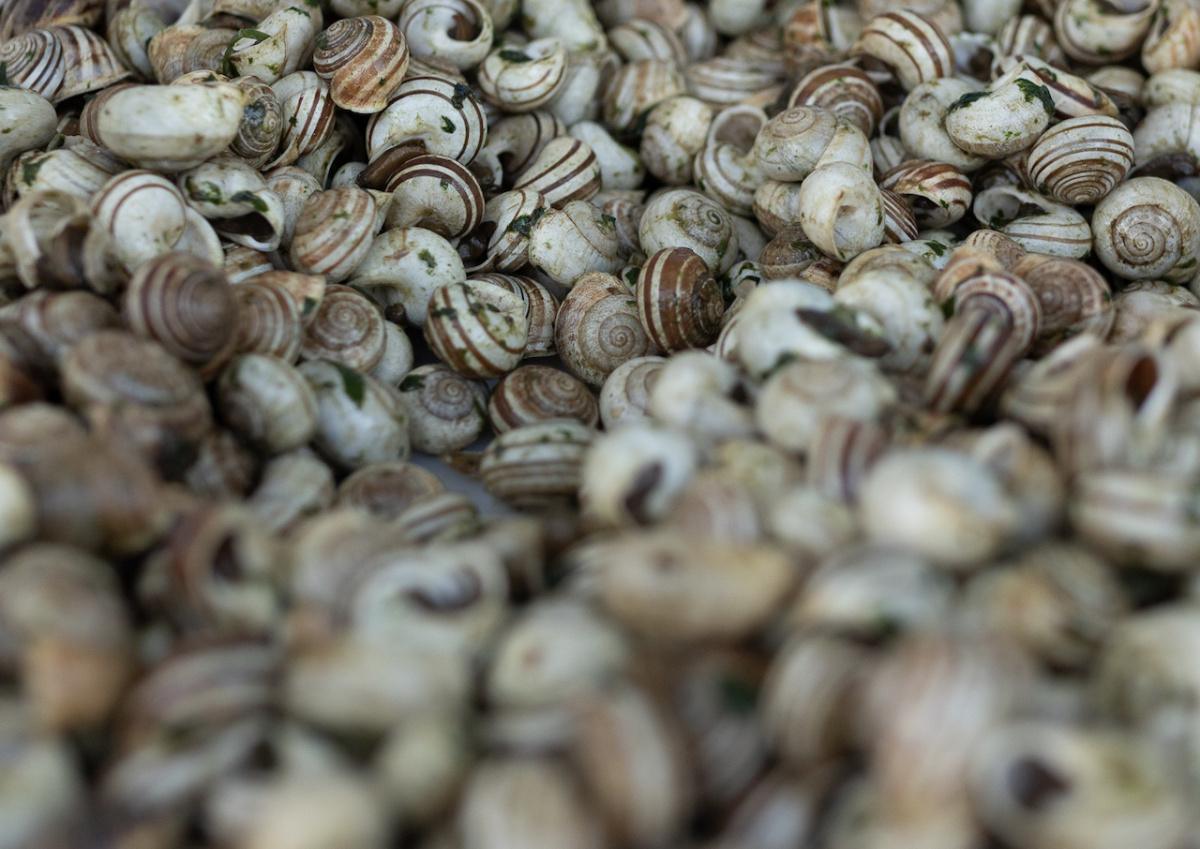 Sagra delle Lumache Sagra delle Lumache