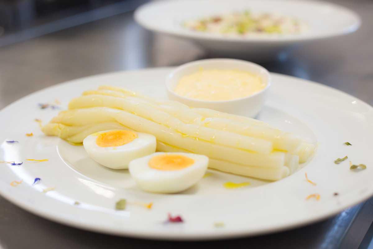 Festa dell'Asparago Bianco Festa dell'Asparago Bianco