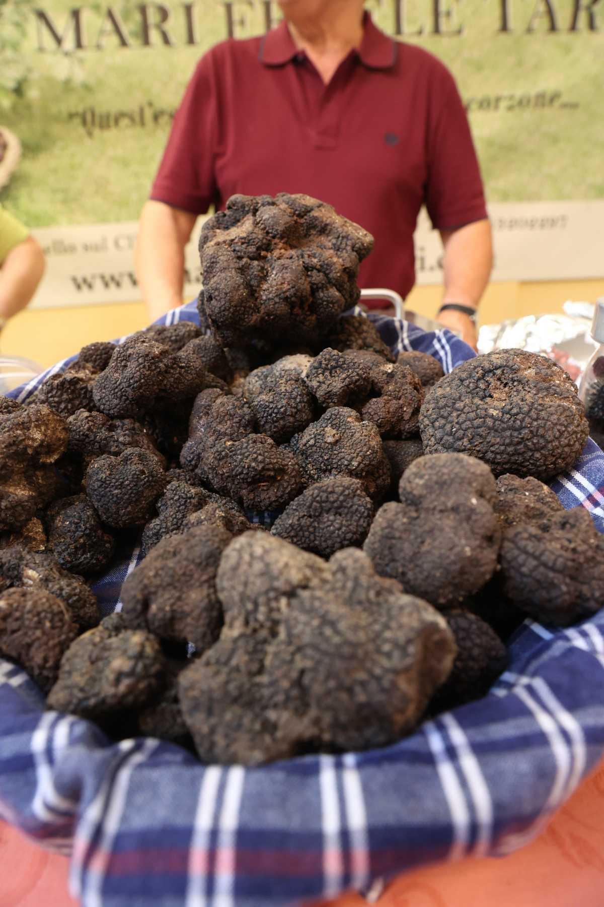 Sagra del Tartufo e dei prodotti tipici Sagra del Tartufo e dei prodotti tipici