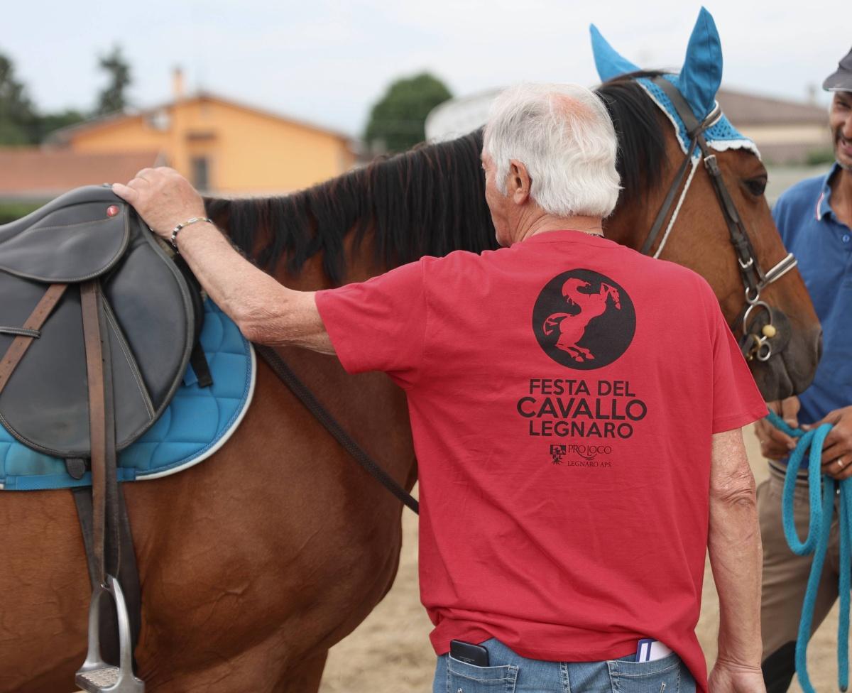 Festa del Cavallo