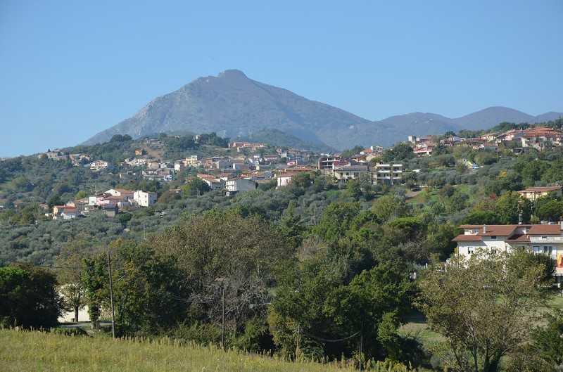 Sagra del Maialetto