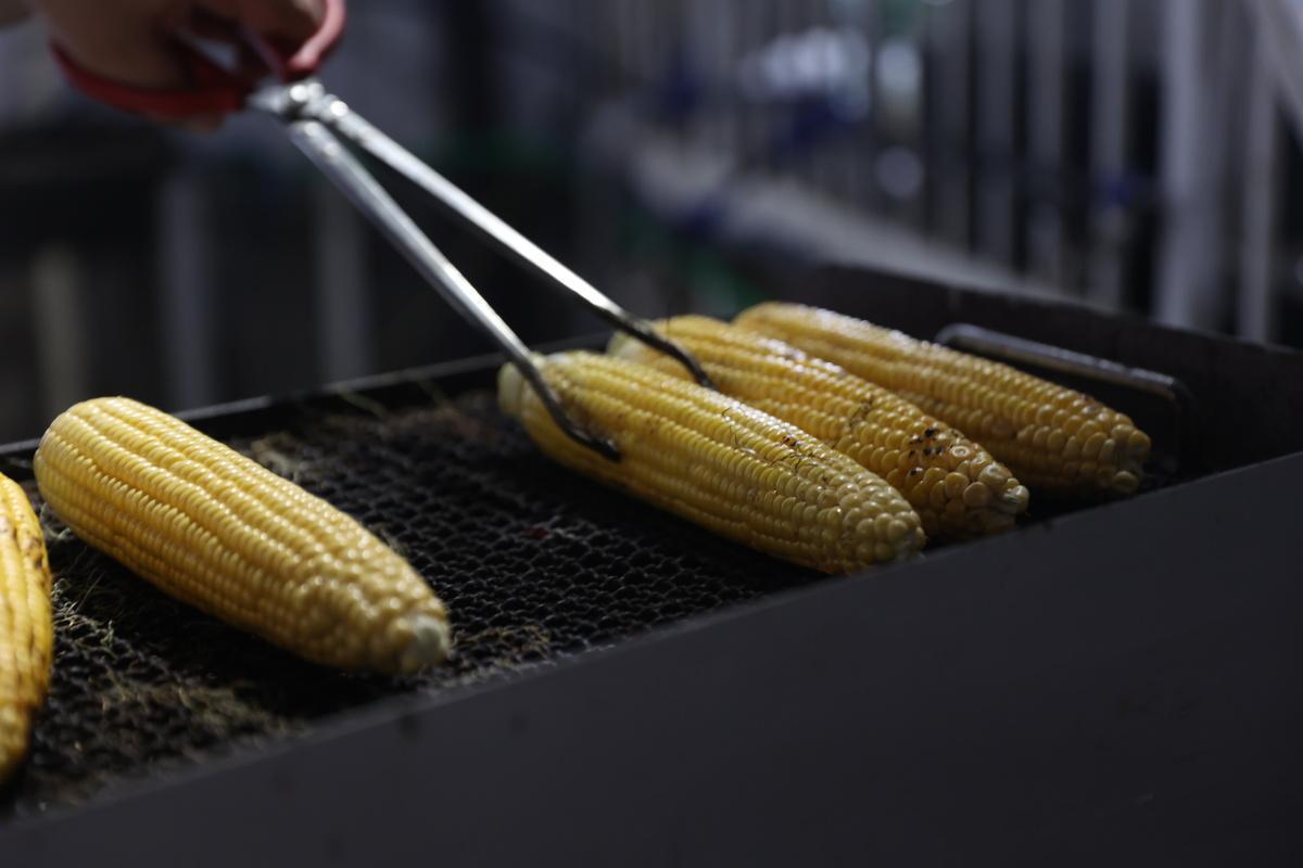 Sagra della Pannocchia Sagra della Pannocchia