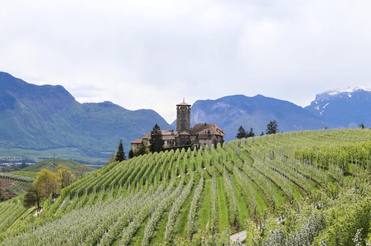 Quattro Ville in Fiore