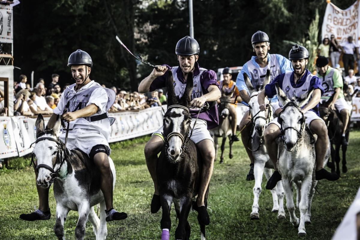 Sagra di San Matteo e Palio dei Mussi
