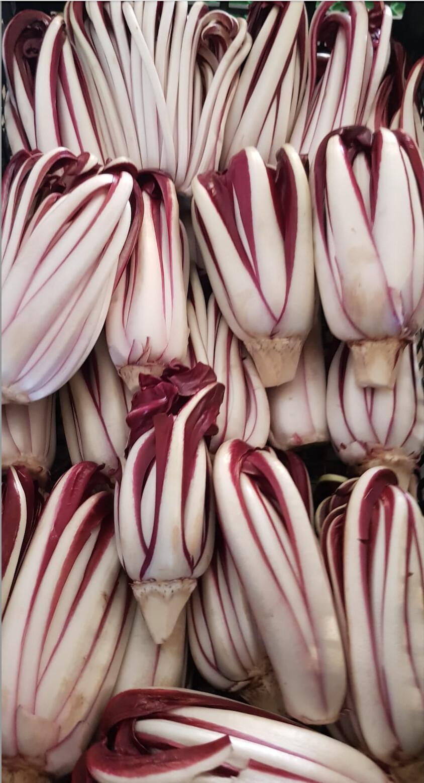 Mostra del Radicchio Rosso Tardivo di Treviso Igp Mostra del Radicchio Rosso Tardivo di Treviso Igp