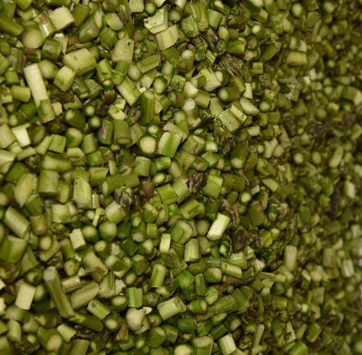 Mostra dell'Asparago di Badoere Igp Mostra dell'Asparago di Badoere Igp