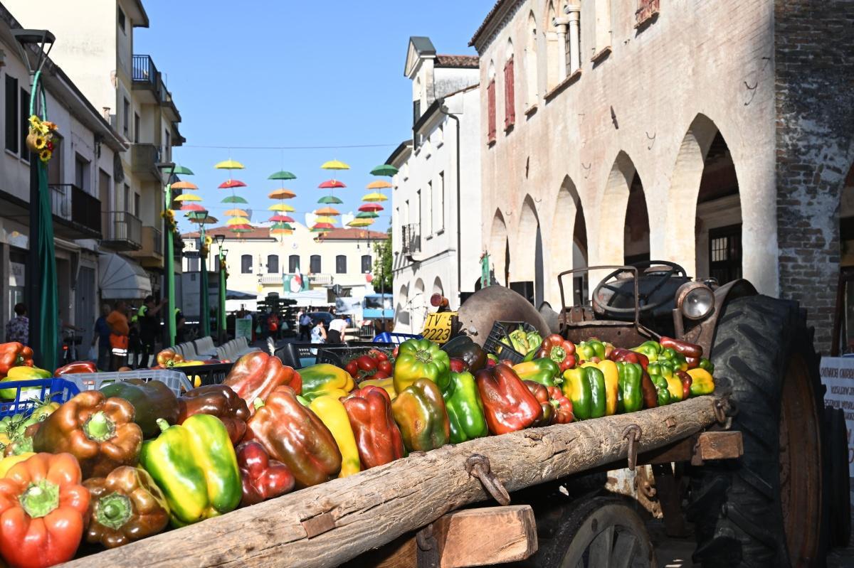 Sagra del Peperone