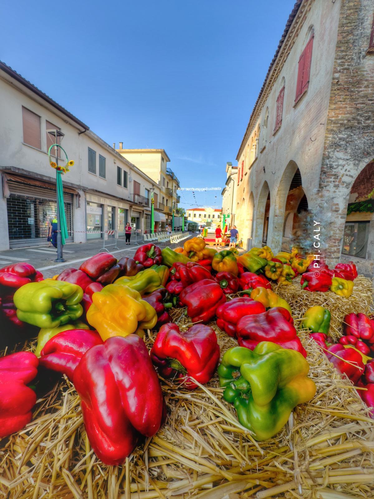 Sagra del Peperone Sagra del Peperone