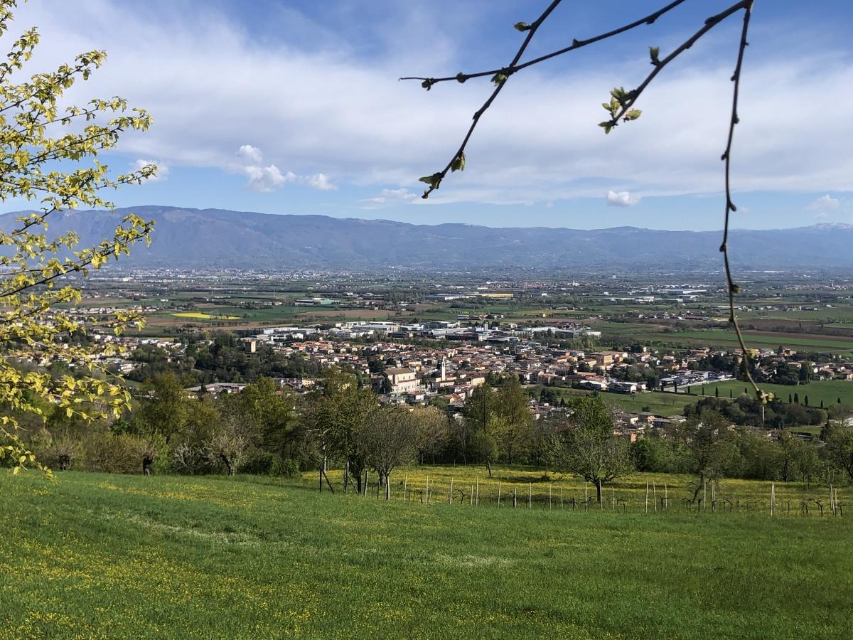 Sagra del Gran Polù Sagra del Gran Polù
