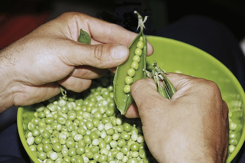 Sagra dei Bisi Sagra dei Bisi