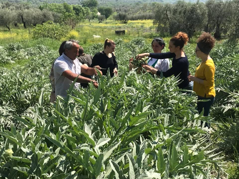 Festival del Carciofo Bianco