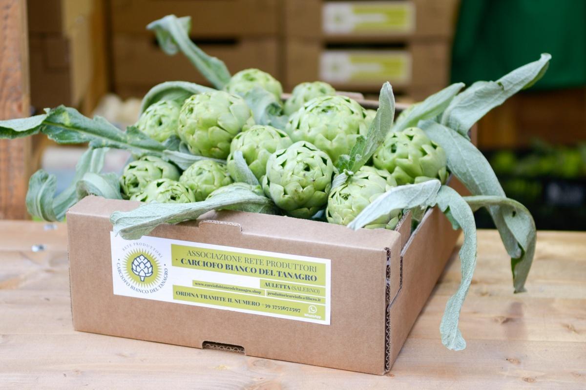 Festival del Carciofo Bianco