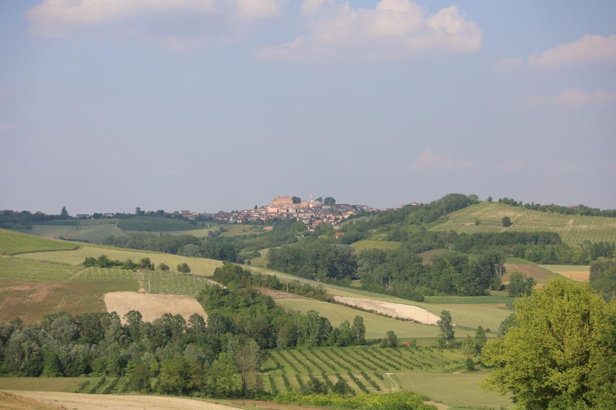 Festa del Pentecoste e dei Faseu Bon del Francù Festa del Pentecoste e dei Faseu Bon del Francù