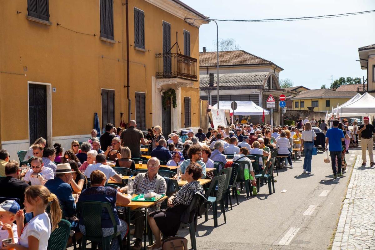 Fiera della Cipolla Bionda di Cureggio e Fontaneto Fiera della Cipolla Bionda di Cureggio e Fontaneto