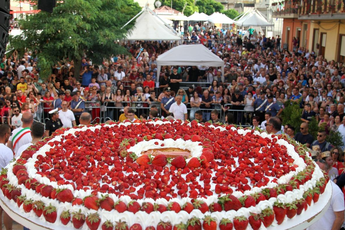 Sagra della Fragola Sagra della Fragola