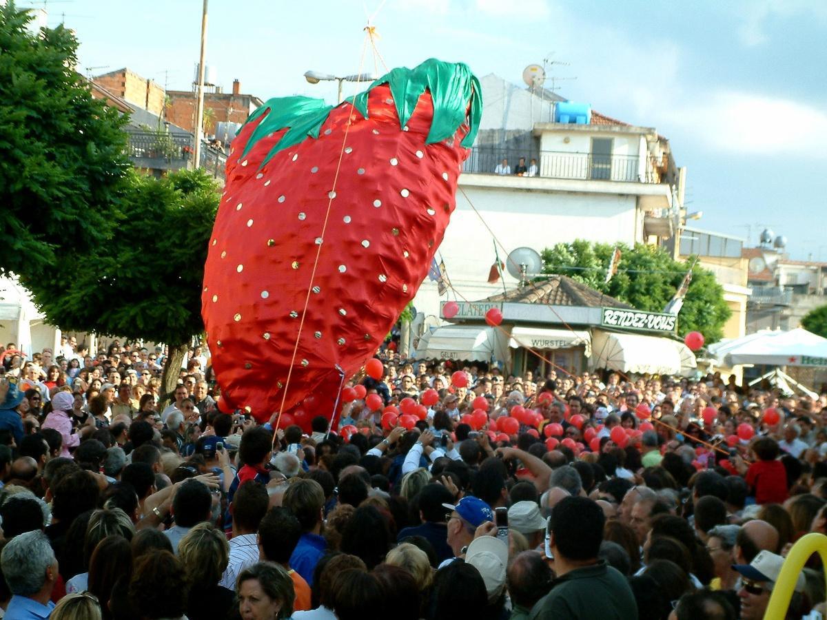 Sagra della Fragola