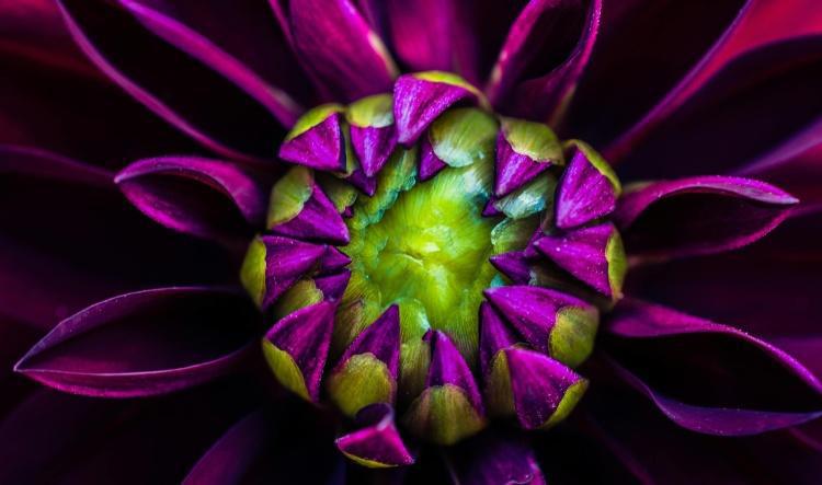 🌱 You Prayed for a Flower, But God Gave You a Seed—Now What?