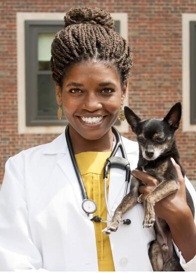 Michele James, DVM, DACVIM, (Neurology), Boston, Mass. Michele James, DVM, DACVIM, (Neurology), Boston, Mass.