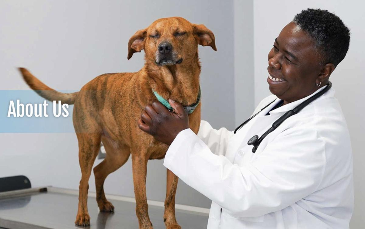 CORE Veterinary Surgical Clinic, Plainville, Mass. CORE Veterinary Surgical Clinic, Plainville, Mass.