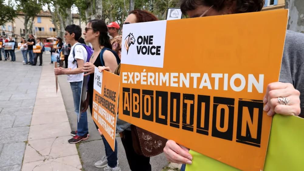 Rousset – Manifestation contre l’extension du centre de primatologie du CNRS