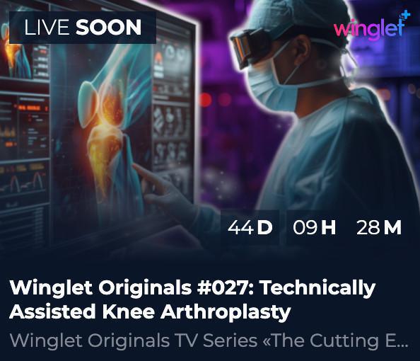 Technically Assisted Knee Arthroplasty