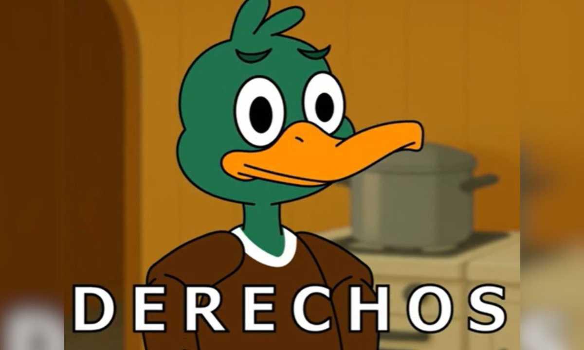 Personajes animados enseñan a defender derechos de consumidor en servicios básicos en Pucón