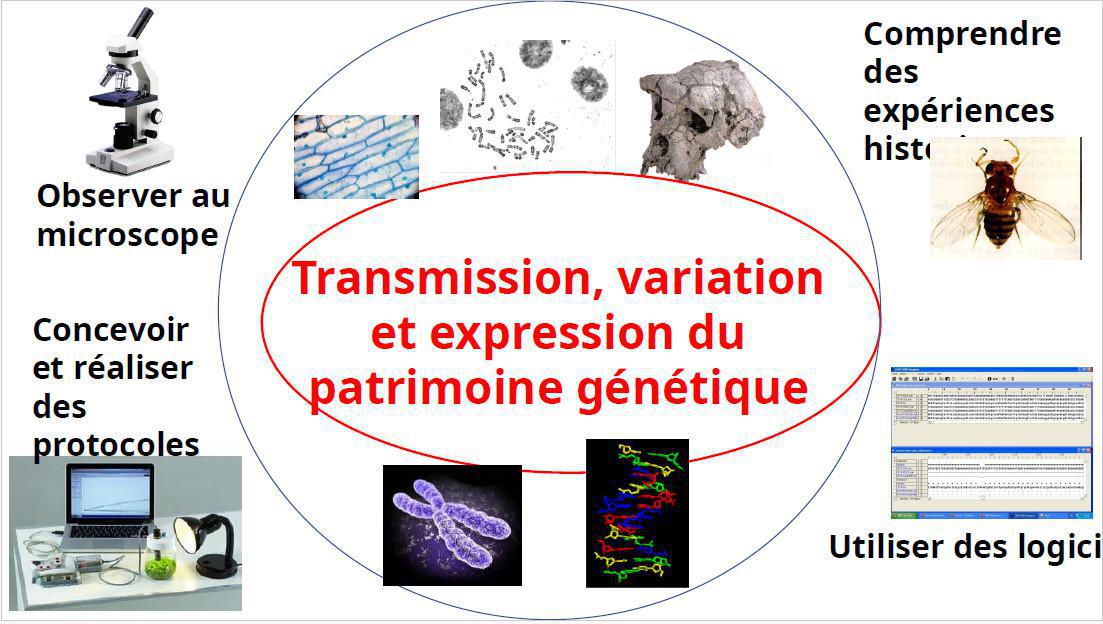 Notre EDS - Sciences de la Vie et de la Terre (SVT) Notre EDS - Sciences de la Vie et de la Terre (SVT)
