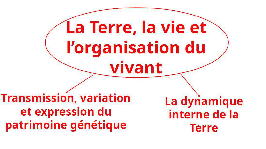 Notre EDS - Sciences de la Vie et de la Terre (SVT) Notre EDS - Sciences de la Vie et de la Terre (SVT)