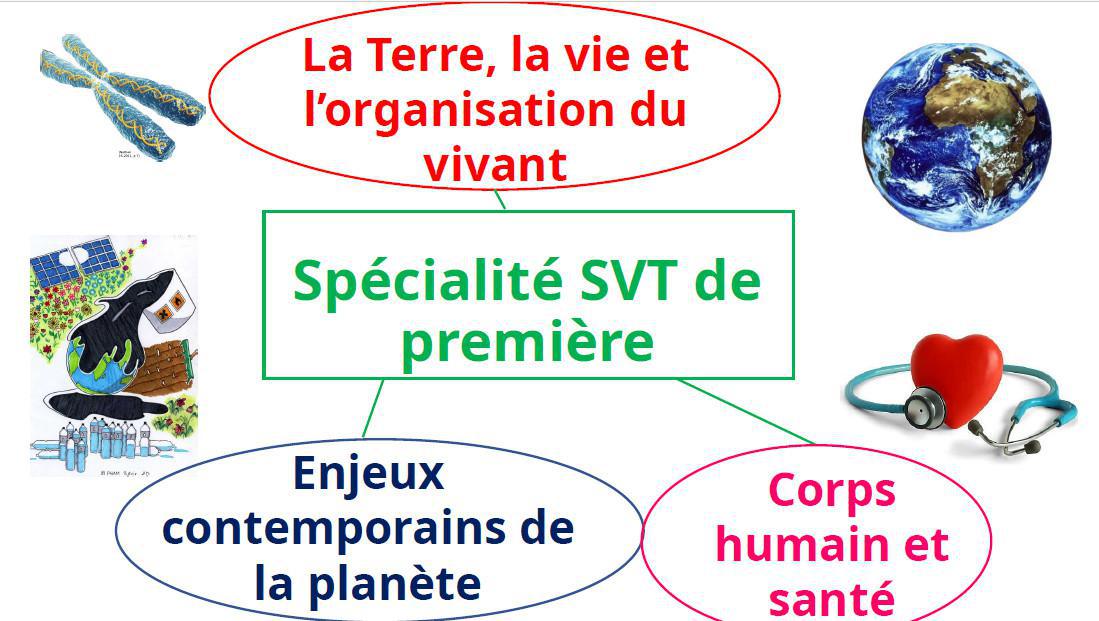 Notre EDS - Sciences de la Vie et de la Terre (SVT)