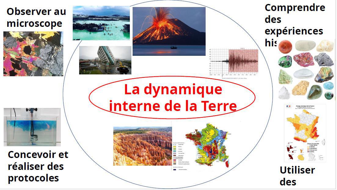 Notre EDS - Sciences de la Vie et de la Terre (SVT)