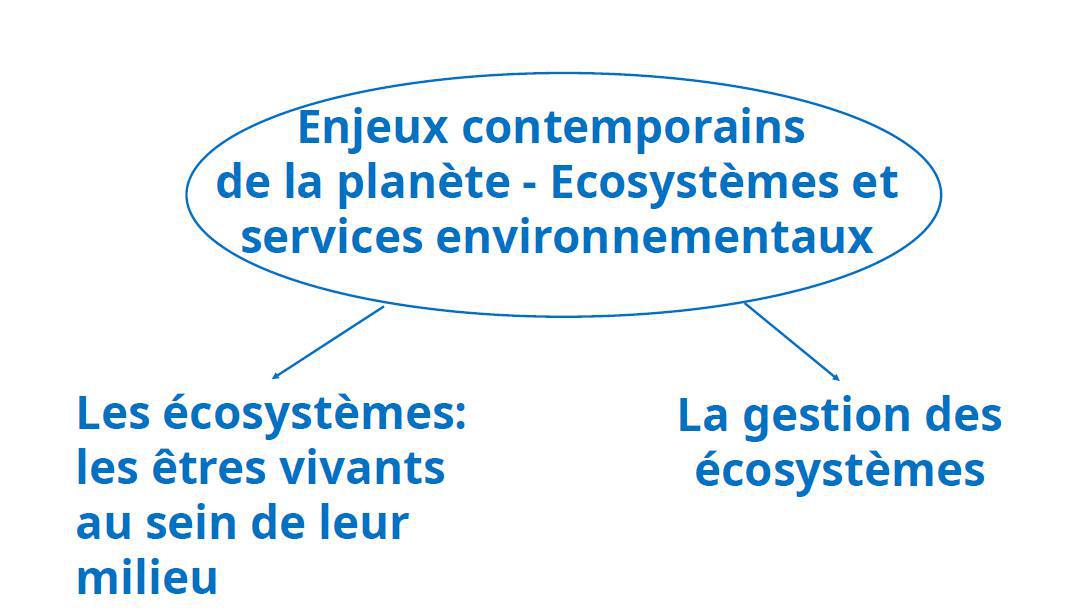 Notre EDS - Sciences de la Vie et de la Terre (SVT)