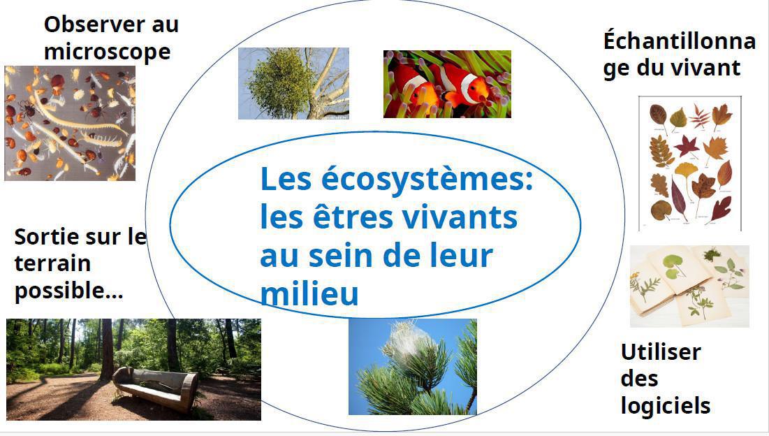 Notre EDS - Sciences de la Vie et de la Terre (SVT) Notre EDS - Sciences de la Vie et de la Terre (SVT)