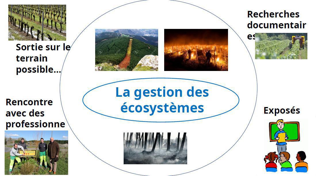 Notre EDS - Sciences de la Vie et de la Terre (SVT) Notre EDS - Sciences de la Vie et de la Terre (SVT)