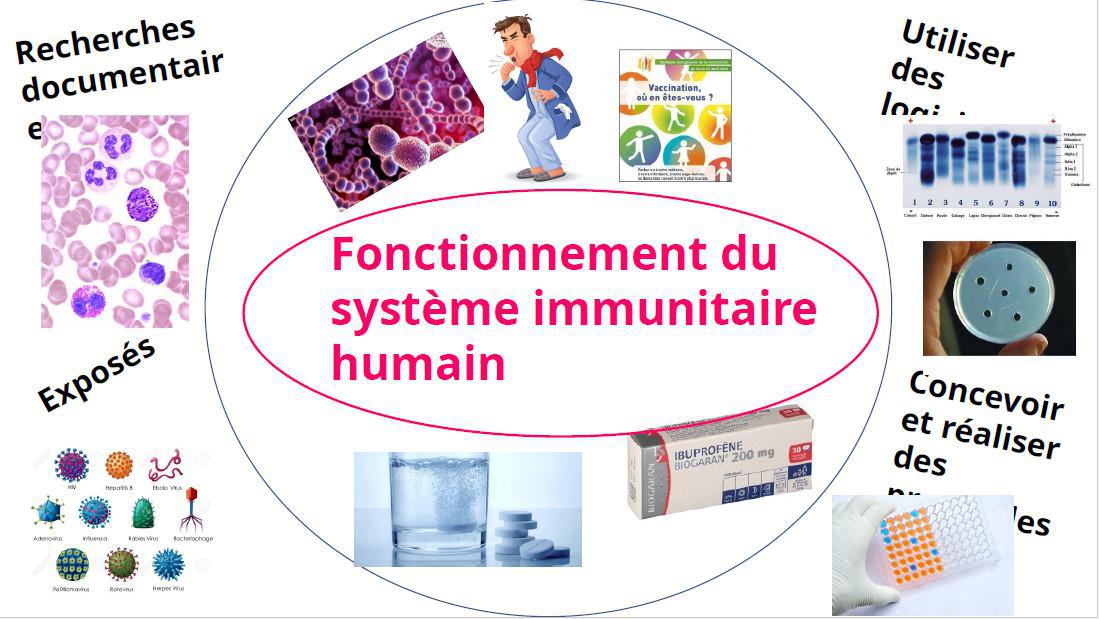 Notre EDS - Sciences de la Vie et de la Terre (SVT)