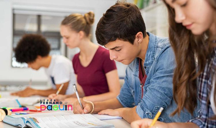 Projet d'Établissement du Lycée Fernand Daguin