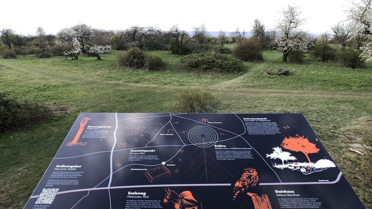 Weitsicht an historischer Stelle im Grüngürtel