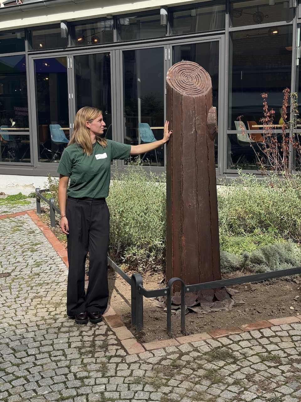 Nach Giftanschlag auf Platanen - jetzt erinnert ein Mahnmal