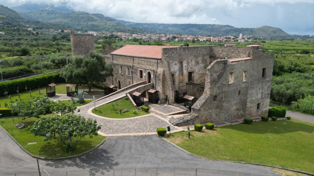 Museo del Cedro - Cedar Museum