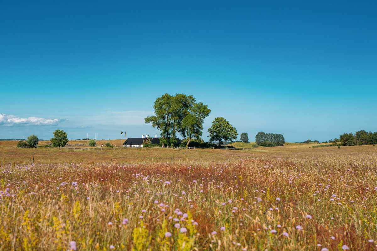 Dag Hammarskjölds Backåkra Dag Hammarskjölds Backåkra