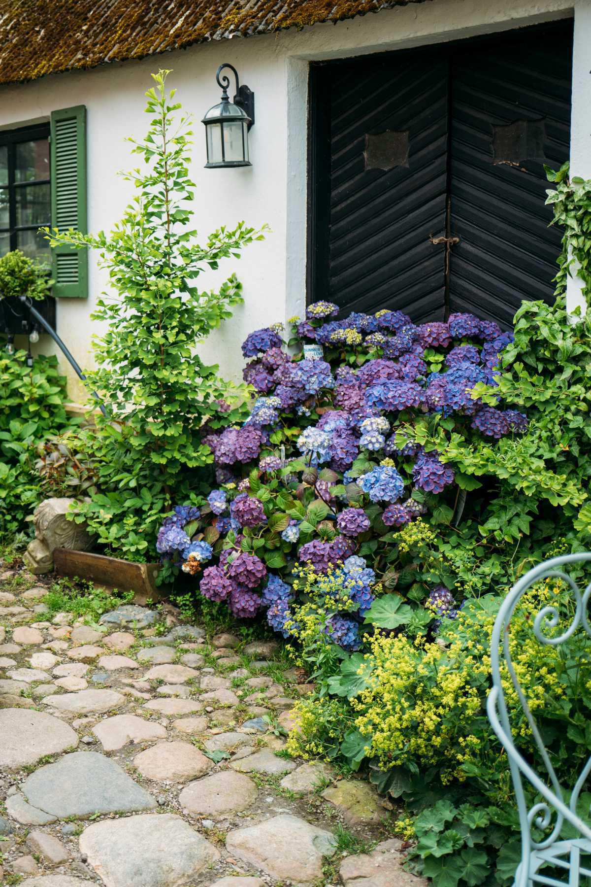Karl Fredrik på Eklaholm Karl Fredrik på Eklaholm