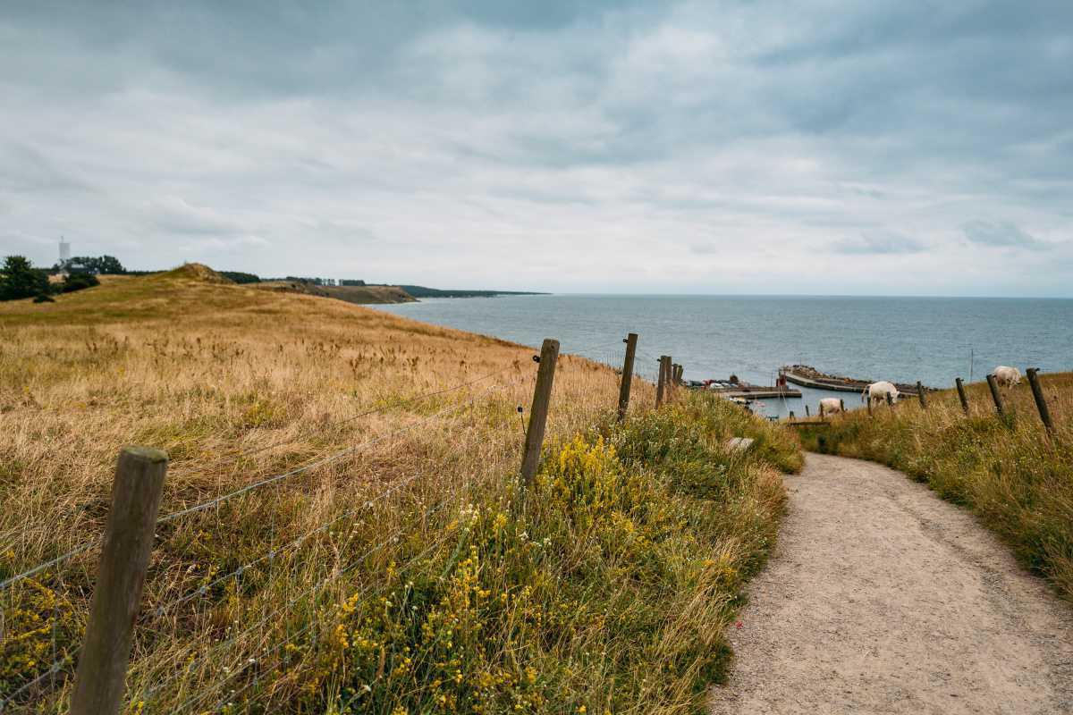 Kåseberga Hamn Kåseberga Hamn