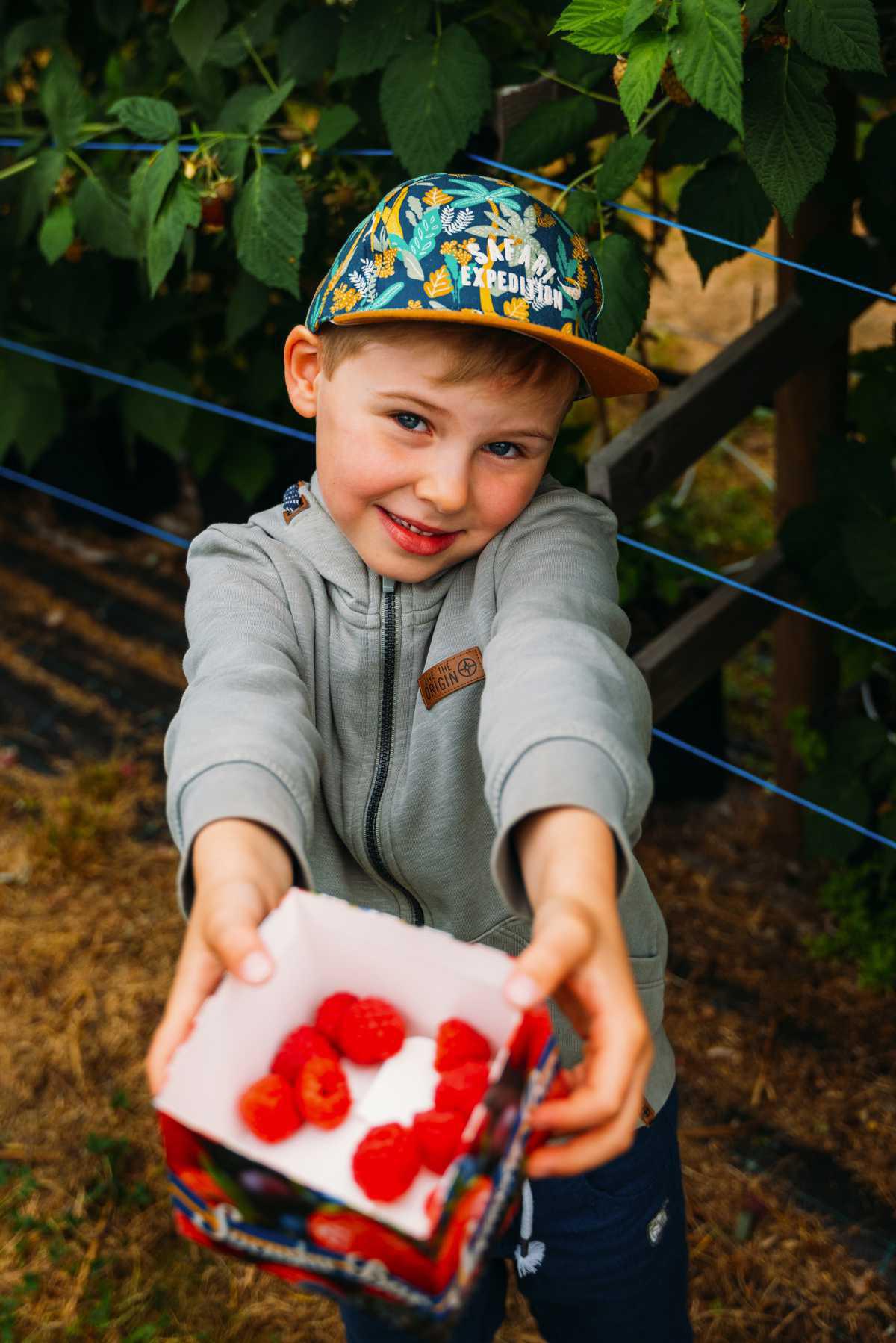 Hallonodlingen Björstorp Hallonodlingen Björstorp