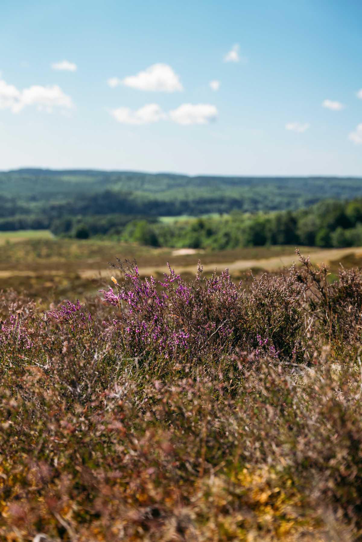 Glimmebodagården Glimmebodagården