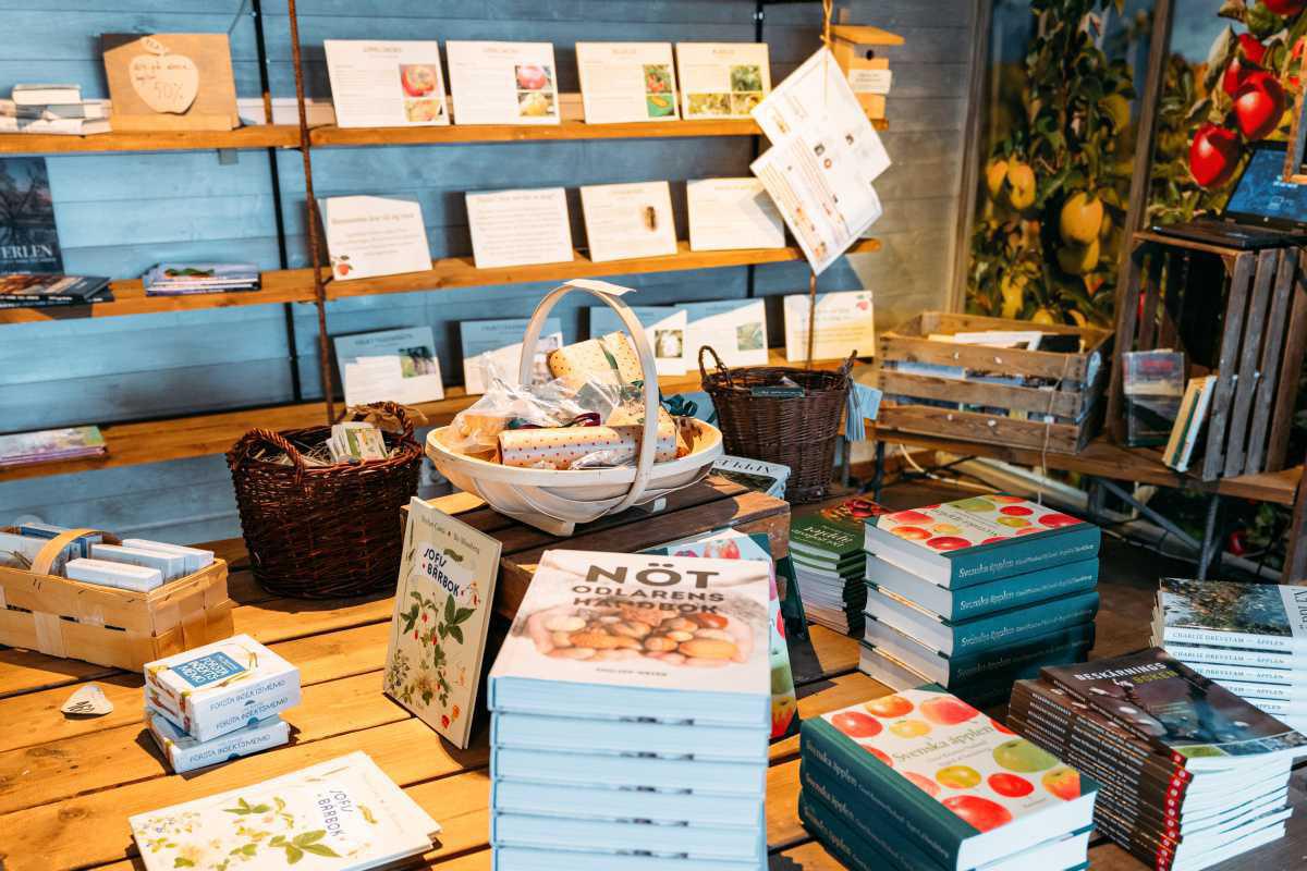 Kiviks Musteri Kiviks Musteri