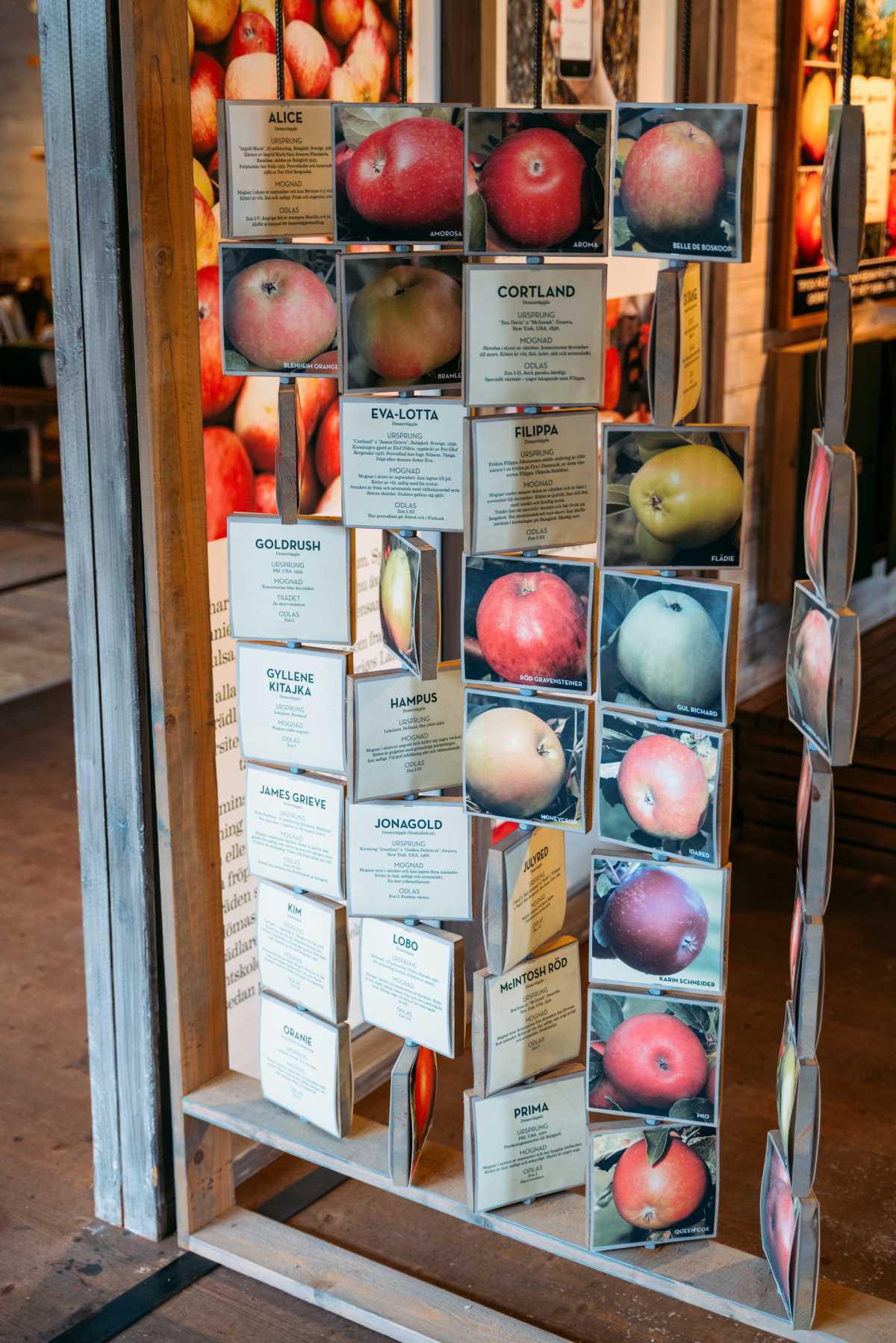 Kiviks Musteri Kiviks Musteri